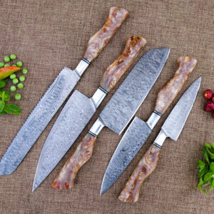 Handmade Damascus Steel Chef Knife Set - Professional Culinary knives